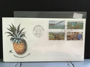 Ciskei 1982 Pineapple Growing with pineapple cancel  stamps  cover R27962