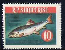 Albania 1964 Salmon 10L unmounted mint, Mi 814