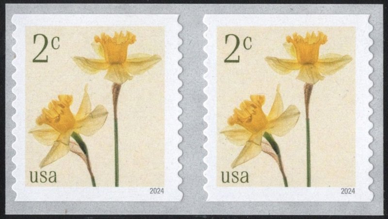 SC#5903 2¢ Daffodils Coil Pair (2024) SA