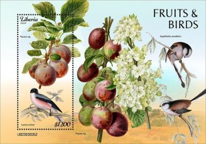 LIBERIA- 2023 - Fruits & Birds - Perf Souv Sheet - Mint Never Hinged