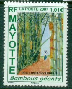Mayotte 2007 Phyllostachys Edulis MUH