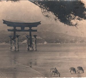 JAPAN Card *ITSUKUSHIMA SHRINE* Torii Gate RP Postcard 1946 Unposted KA410