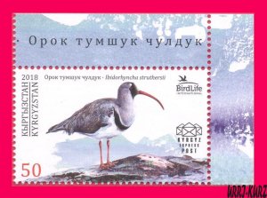 KYRGYZSTAN 2018 Nature Fauna Bird Ibisbill (Ibidorhyncha struthersii) 1v MNH