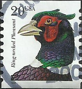# 3055 USED RING-NECKED PHEASANT