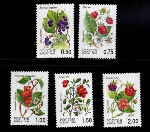 Russia Scott 6462-6466  MNH**stamp set