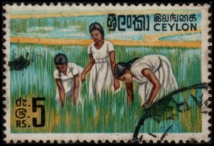 Ceylon 379A - Used - 5r Girls Working in Rice Fields (1969) (cv $9.50)