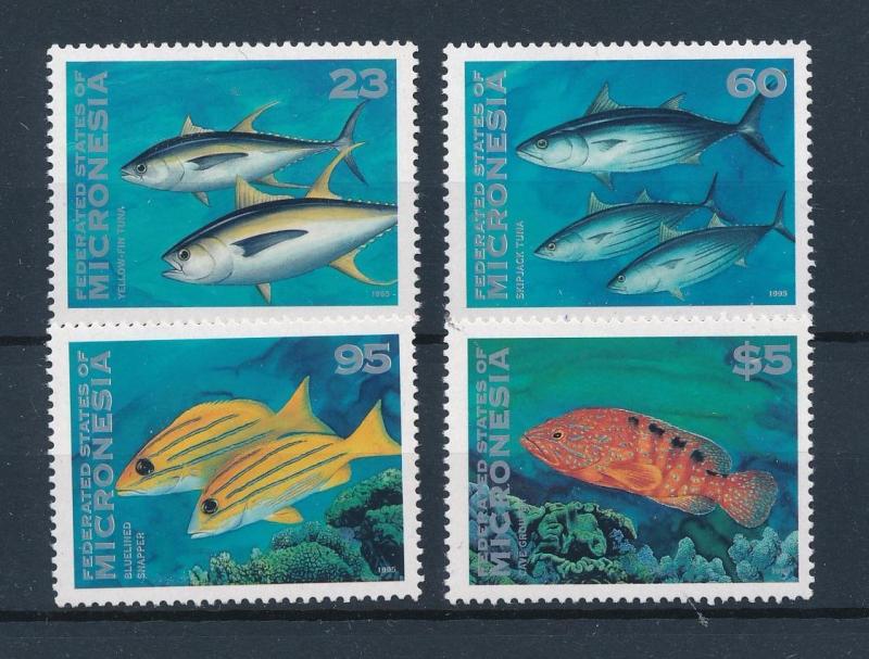 [56864] Micronesia 1995 Marine life Fish MNH