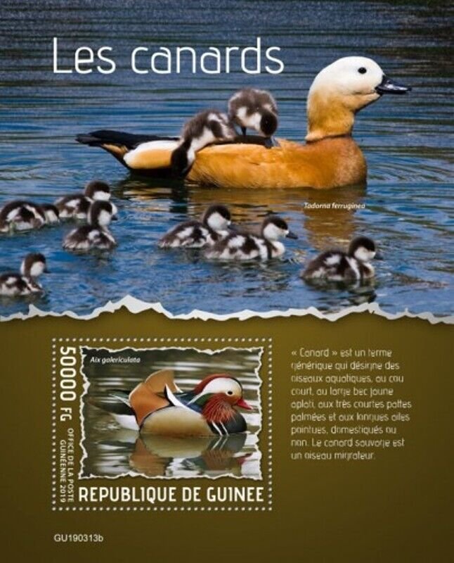 Guinea - 2019 Ducks on Stamps - Stamp Souvenir Sheet - GU190313b