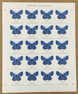 5136 Eastern Tailed-Blue Butterfly 68 c MNH sheet of 20  FV $13.60 issued 2016