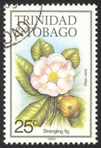 Trinidad & Tobago Sc# 396a SG# 640B Used 1983 Flowers