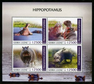 SIERRA LEONE 2019 HIPPOPOTAMUS SHEET  MINT NEVER HINGED