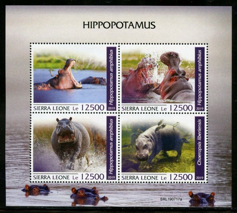 SIERRA LEONE 2019 HIPPOPOTAMUS SHEET  MINT NEVER HINGED