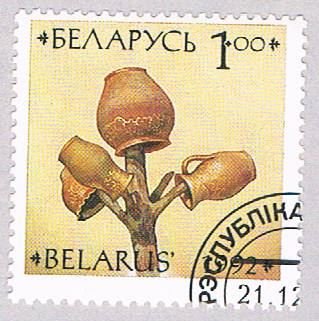 Belarus Pottery 100 - wysiwyg (AP106305)