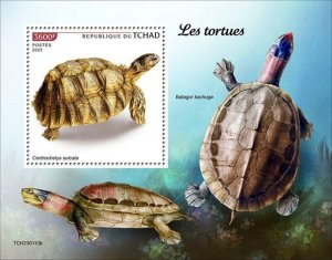 Chad - 2023 Turtles, African Spurred Tortoise - Stamp Souvenir Sheet TCH230110b