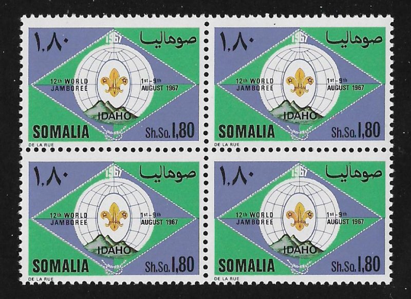 313,MNH