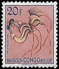 BELGIAN CONGO   #282 MH (1)