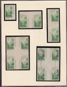 1935 Sc 769 National Parks mint NGAI cross gutter blocks & gutter pairs (Page