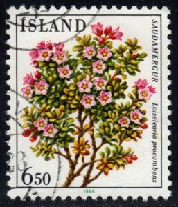 Iceland #593 Alpine Azalea Flowers, used (0.30)