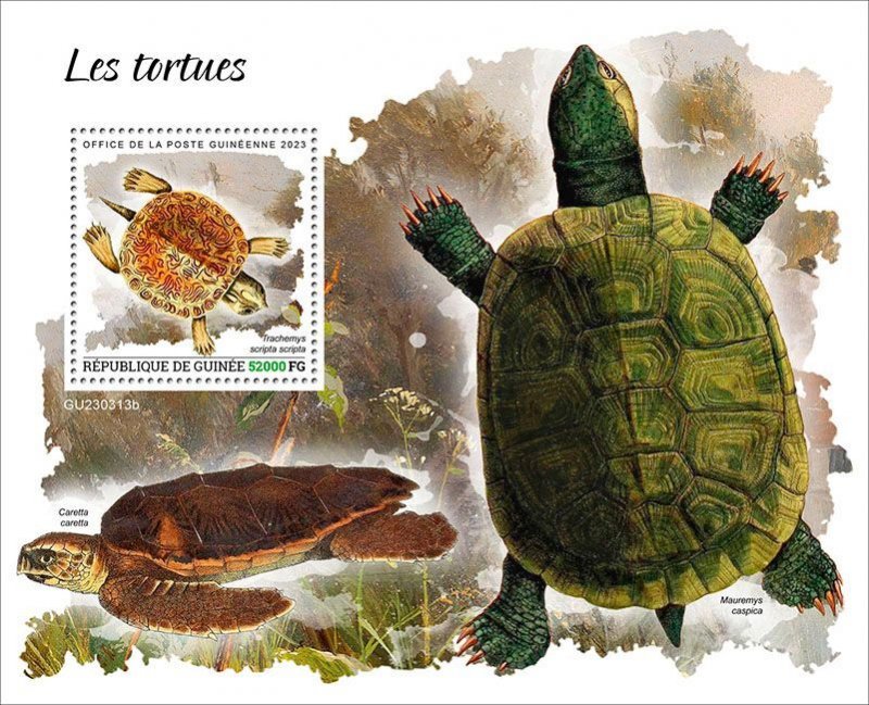 GUINEA - 2023 - Turtles - Perf Souv Sheet - Mint Never Hinged