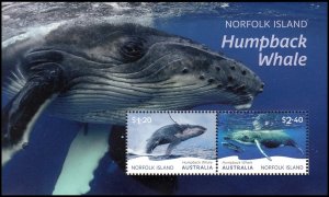 NORFOLK ISLAND 2024 WHALES BALEINES WALE HUMPBACK