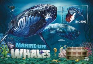 SIERRA LEONE 2016 SHEET WHALES MARINE LIFE srl16314b