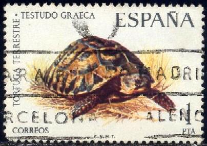 Greek Tortoise, Spain stamp SC#1819 Used