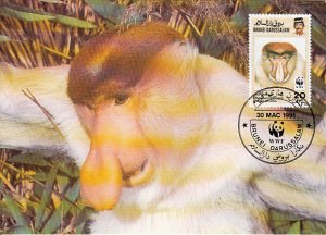 Brunei 1991 Maxicard Sc #425 20c Proboscis monkey WWF