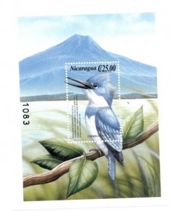 Nicaragua 2000 - Bird - Wood Pecker - Souvenir Stamp Sheet - Scott #2352 - MNH