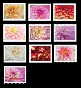 US Dahlias single set 10 (from booklet) MNH 2025 after May 1