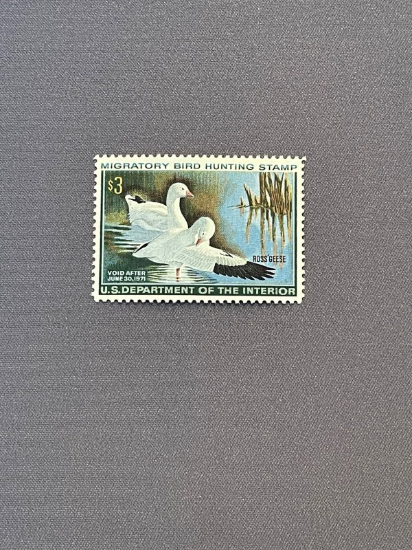 RW37, Ross' Geese, Mint OGNH, CV $80.00