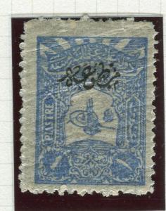 TURKEY; 1905 Printed Matter Optd. Perf 13.5 issue Mint hinged 1Pi. value