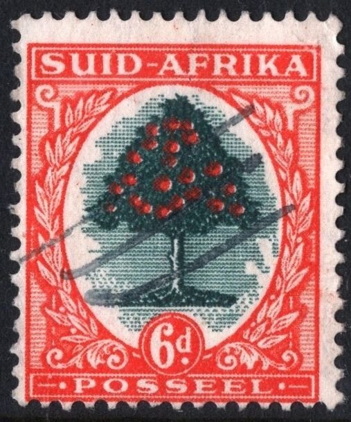 South Africa SC#61b 6d Orange Tree (1950) Used