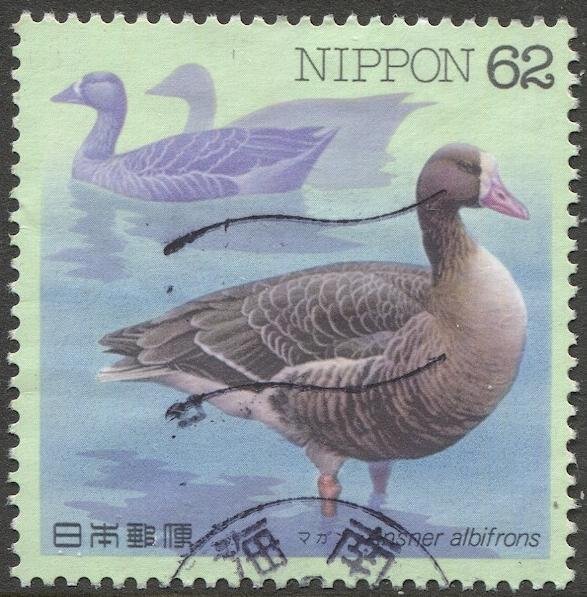 JAPAN 1993 Sc 2193  Used VF, 62y Water Bird, Sakura C1364