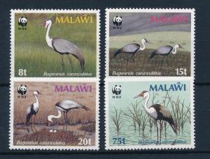 [50849] Malawi 1987 Birds Vögel Oiseaux WWF WMK Type 5 Mi. 477X-480X MNH