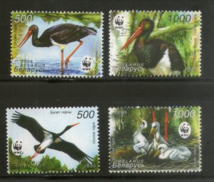 Belarus MNH 559-62 Black Stork Birds WWF 2005