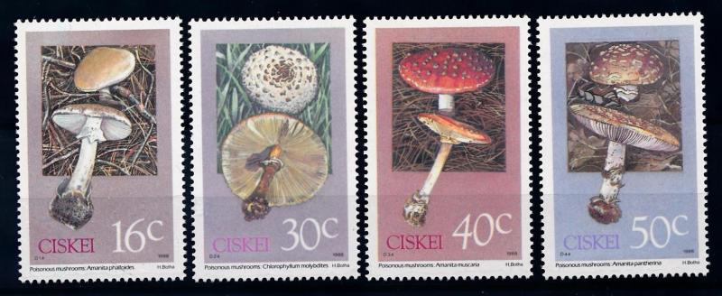 [65761] Ciskei 1988 Poisonous Mushrooms Pilze Champignons  MNH