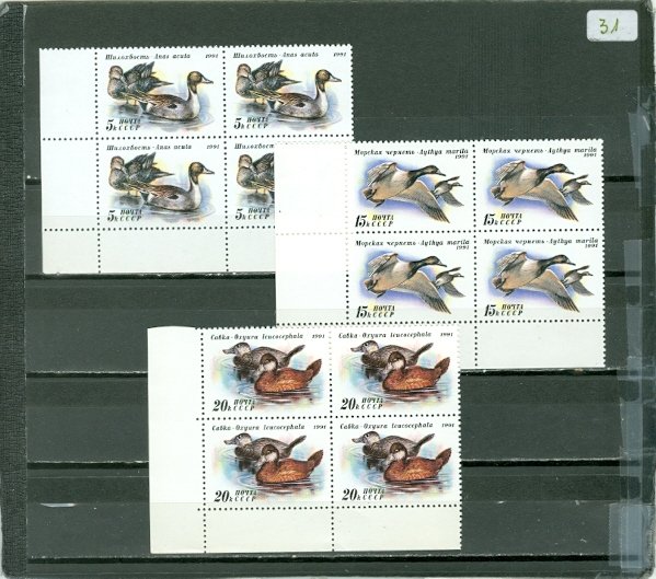 RUSSIA 1991 DUCKS #6009-11 SET CORNER BLKS MNH...$4.20