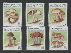 Thematic Stamps Plants - SAHARA 1997 FUNGI 6v mint