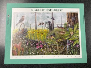 FDC 3611 Longleaf Pine Forest ON BIG  ENVELOPE AS ISSUE 2001 USPS