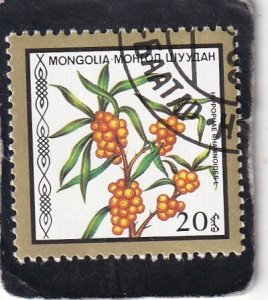 Mongolia   #   1584   used