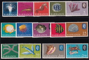 Sc# 267 / 280 Barbados 1965 QE Sea Creatures complete MNH set CV $18.30