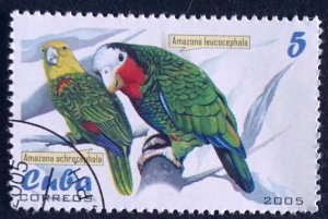 CUBA Sc# 4466  PARROTS tropical birds 5c  2005  used / cto