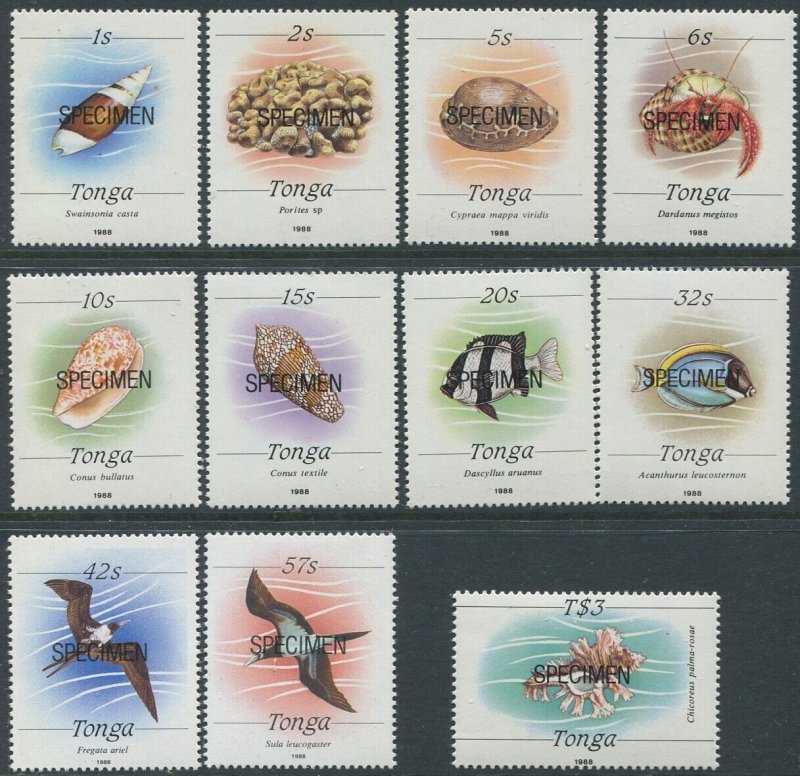 Tonga 1988 SG999-1016 Marine Life 1988 SPECIMEN series (11) MNH