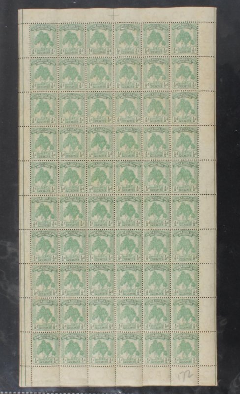 GILBERT & ELLICE ISLANDS : 1911 Pandanus Pine ½d, FULL PANE. MNH ** RARE!