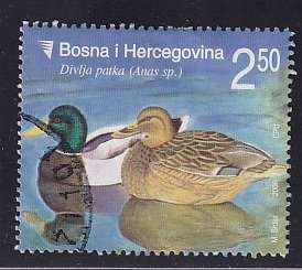 Bosnia and Herzegovina ( Bosniak )  #558  used  2006  wild animals 2.50m  ducks