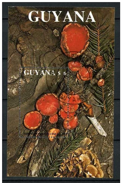 Guyana 1988 - Scott 2011 Souvenir sheet of 1 CTO - Mushrooms