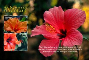 Gambia 2017 - Hibiscus Flowers - Souvenir Stamp Sheet - MNH