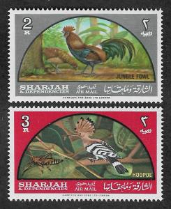 C32-C33,MNH Sharjah