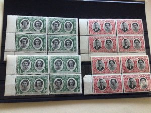 Southern Rhodesia 1947  mint never hinged stamp blocks   A13204