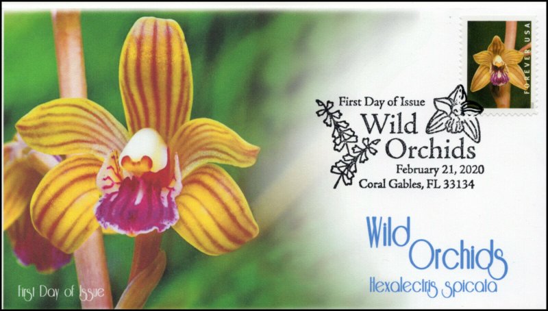 20-046, 2020, Wild Orchids, Pictorial Postmark, First Day Cover, Hexalectris spi